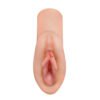 PDX Plus Perfect Pussy Dream Stroker