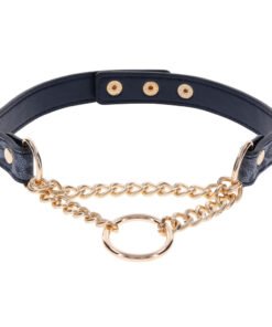 SportSheets Cougar Day Collar